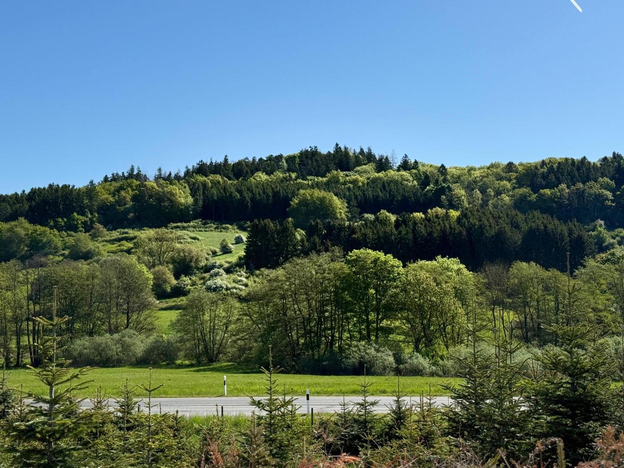 Ferienwohnung Schwarzenbergblick Келберг Екстериор снимка